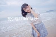 瓦爾塔EFB60AH大眾朗逸plus新寶來POLO捷達新桑塔納原裝啟停電瓶