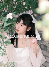 駱駝天鵝蓄電池 配五菱榮光之光寶駿310北汽車幻速S3汽車電瓶 48A